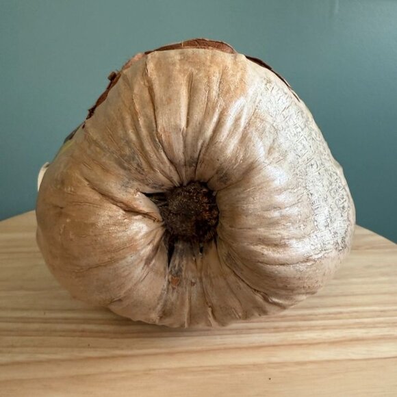 Vintage 60's Hawaiian Pirate Hanging Coconut Head w Shell Earrings Eyes Tiki - Picture 8 of 10